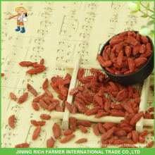 Nouveaux baies de Goji séchées et organiques certifiées, goji bio, baies Goji bio de haute qualité